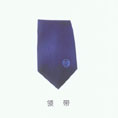 领带